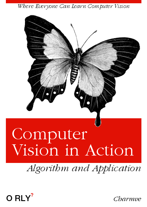 Book: Computer Vision in Action